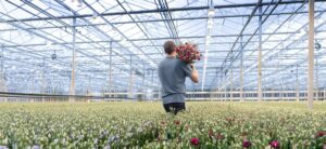 Become a supplier