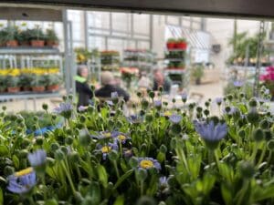 Plantion Shop &amp; Go