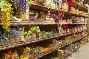 Become an Alflora customer