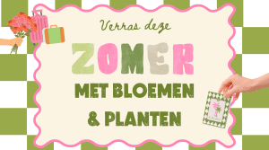 Sommer 2026