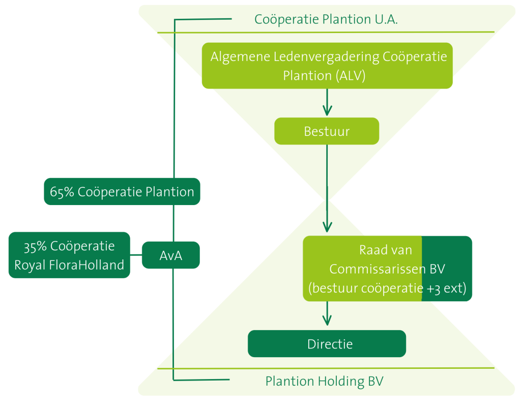 Model Coöperatie Plantion U.A.